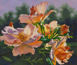 Rose at Sunset by Lenni Workman (Sold)