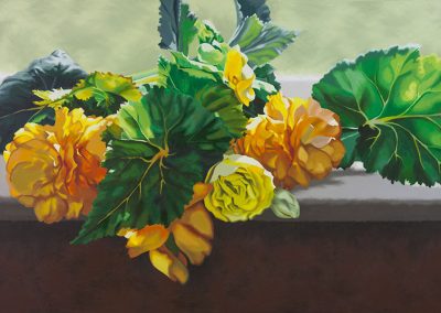Back to the Sun by Lenni Workman