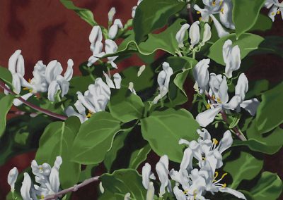 Honeysuckle by Lenni Workman