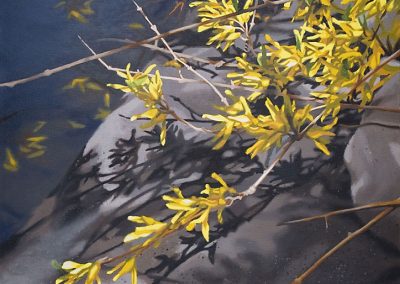 Forsythia #2 by Lenni Workman