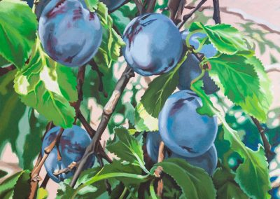 Bower by Lenni Workman