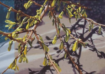 Veil of Information Forsythia by Lenni Workman