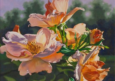 Rose at Sunset by Lenni Workman